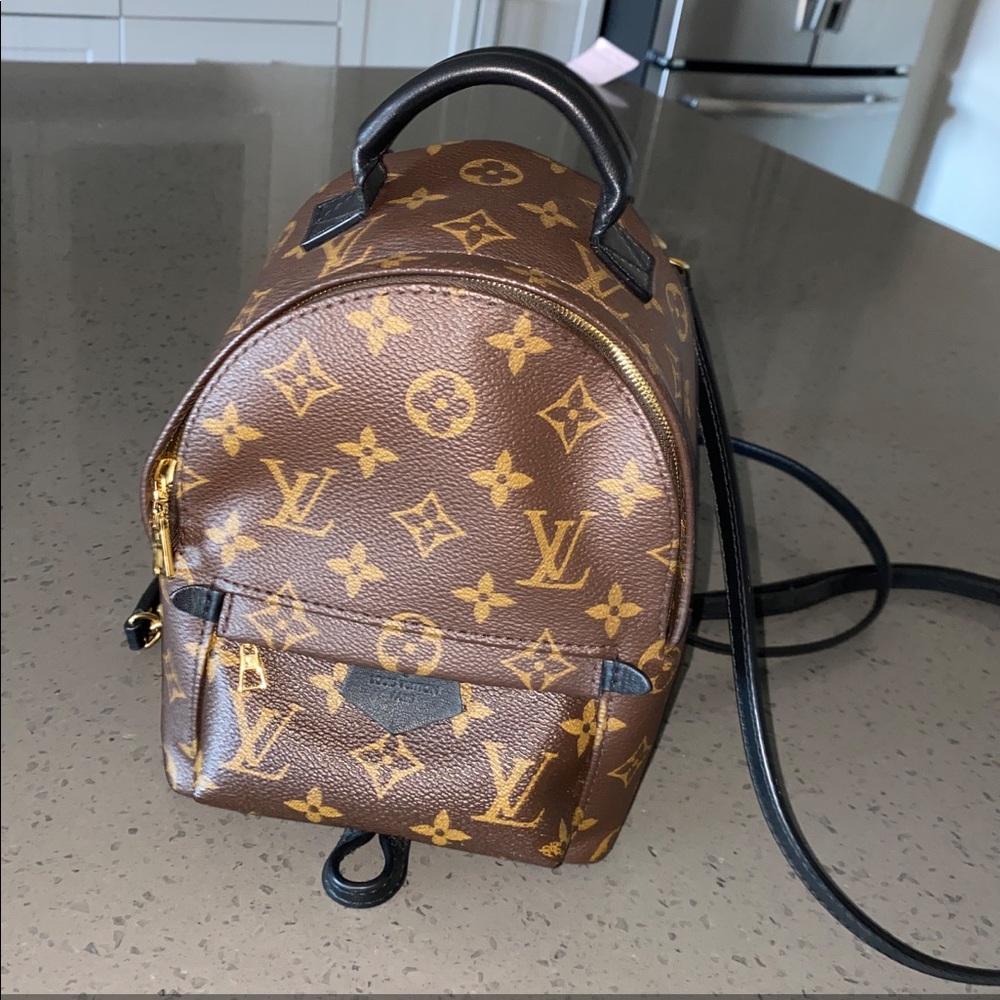 Louis Vuitton Palm Springs Mini